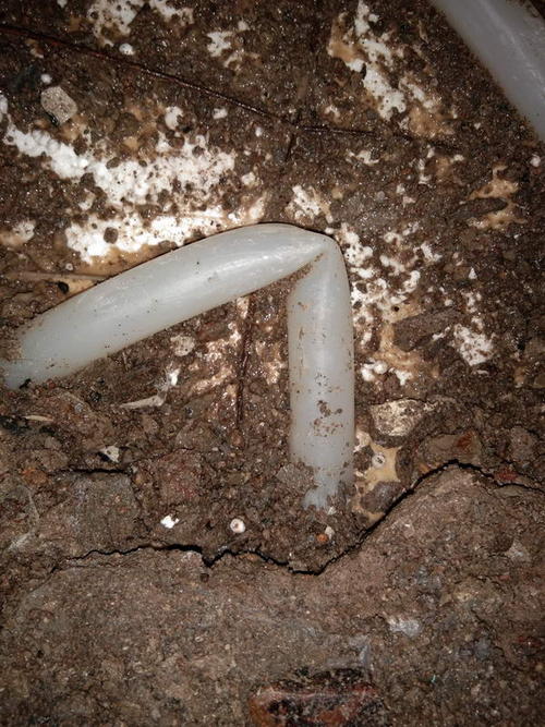 文成堵点精准查找